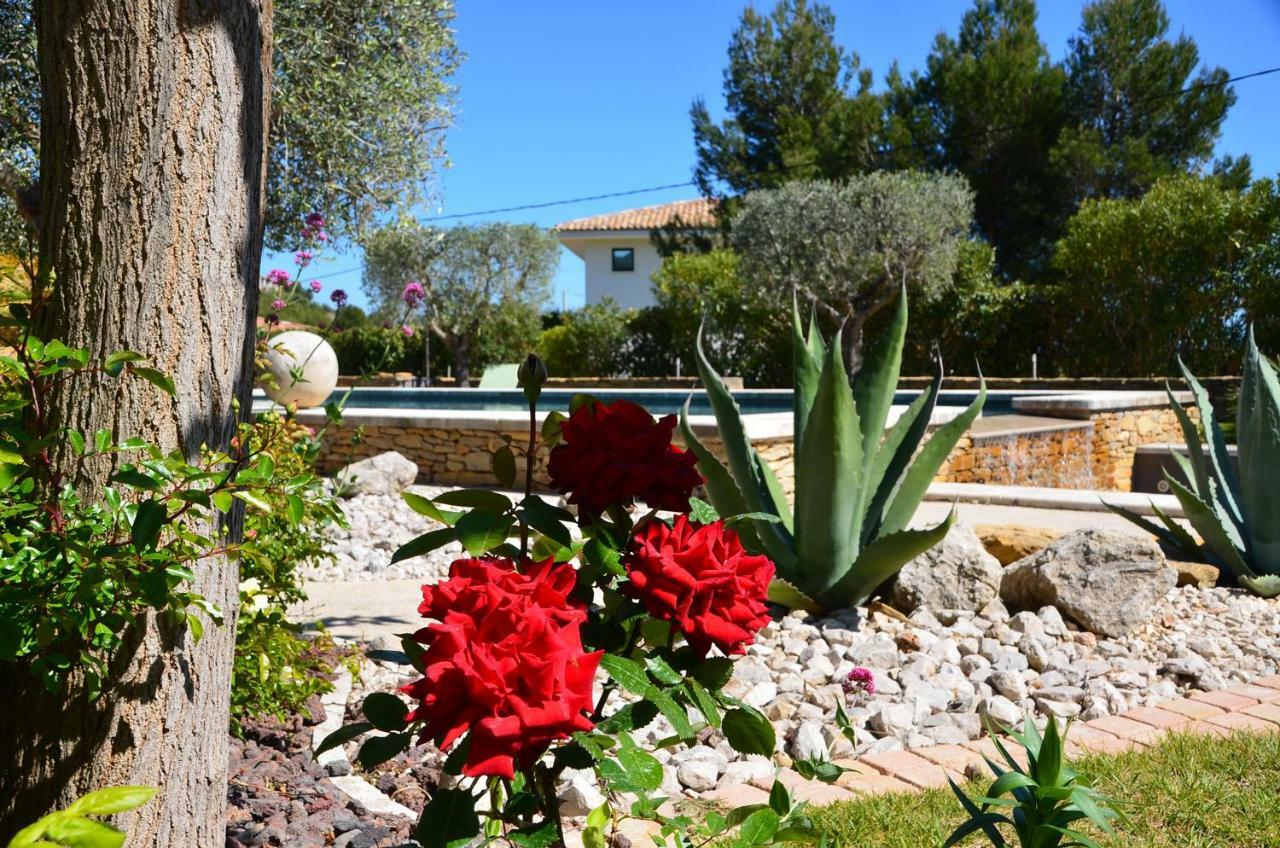 Appartements Du Jas De Clare La Cadiere-d'Azur Exteriör bild